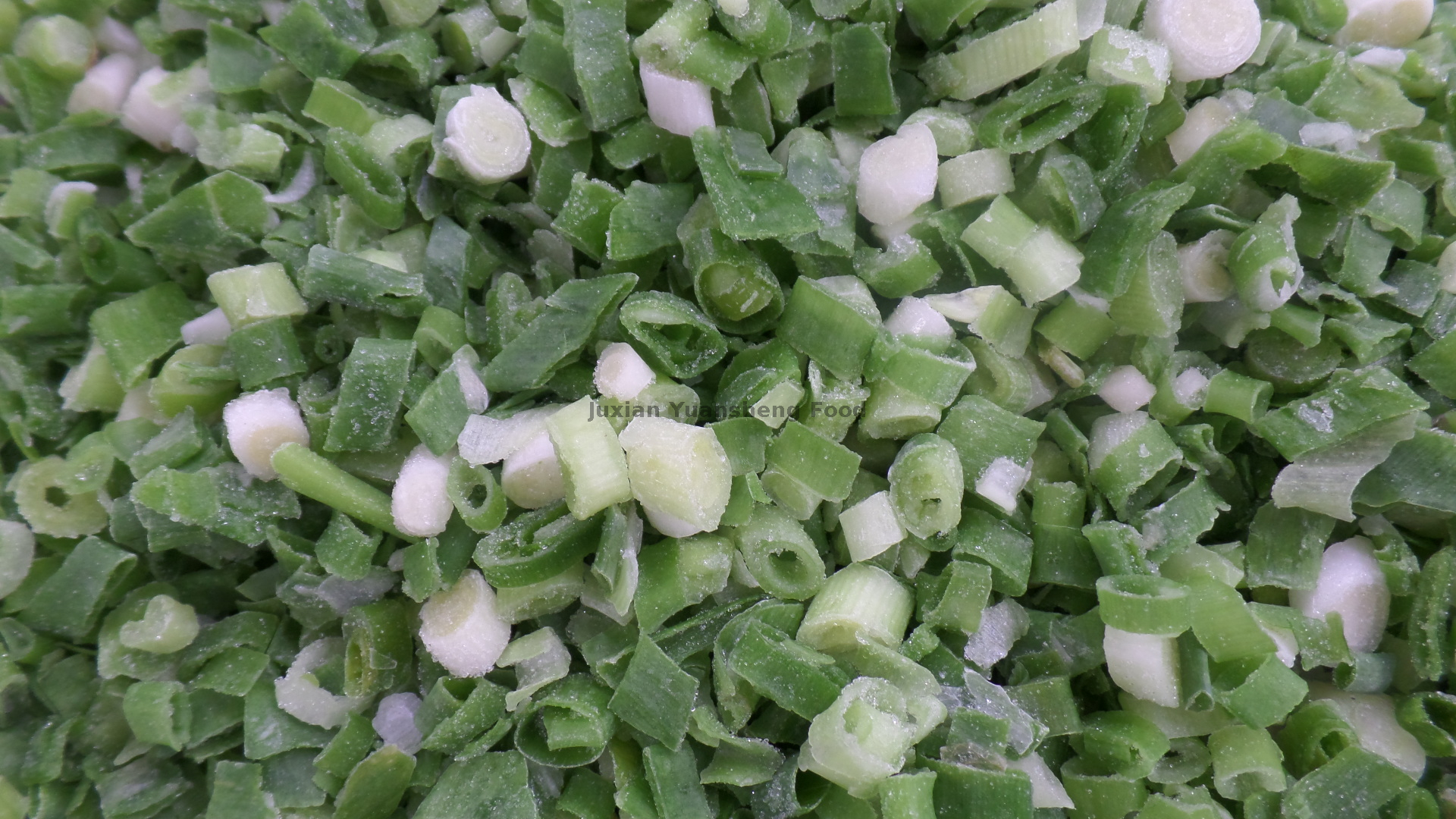 Fr&uuml;hlingszwiebel (5)