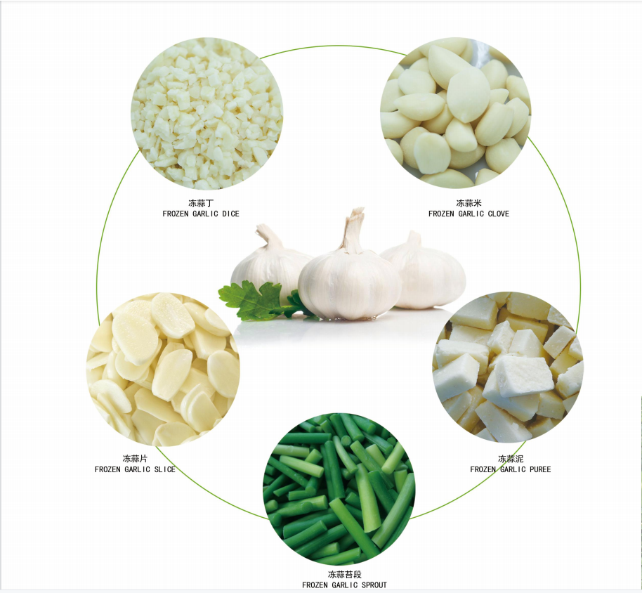 100 % frisch gefrorene Knoblauchp&uuml;ree-Pellets