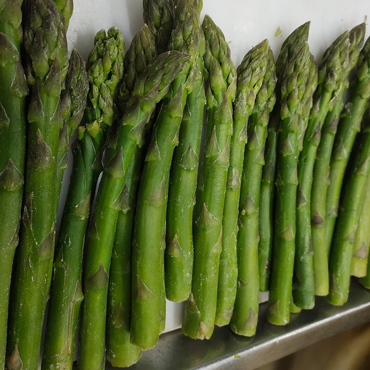 Gefrorener grüner Spargel im Großhandel mit hoher Qualität