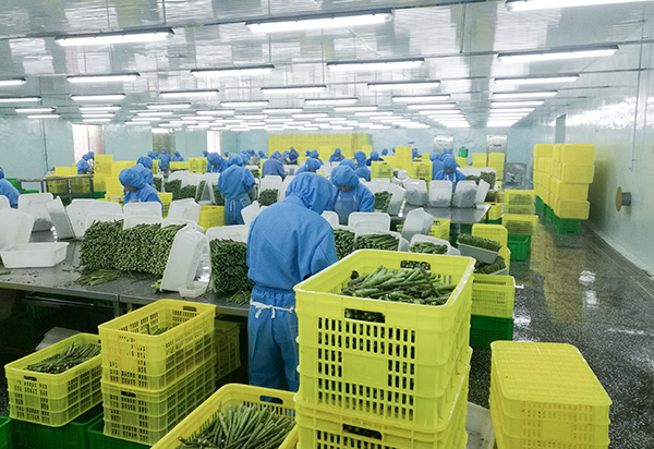 4_0000_粗加工-Rauproduktion