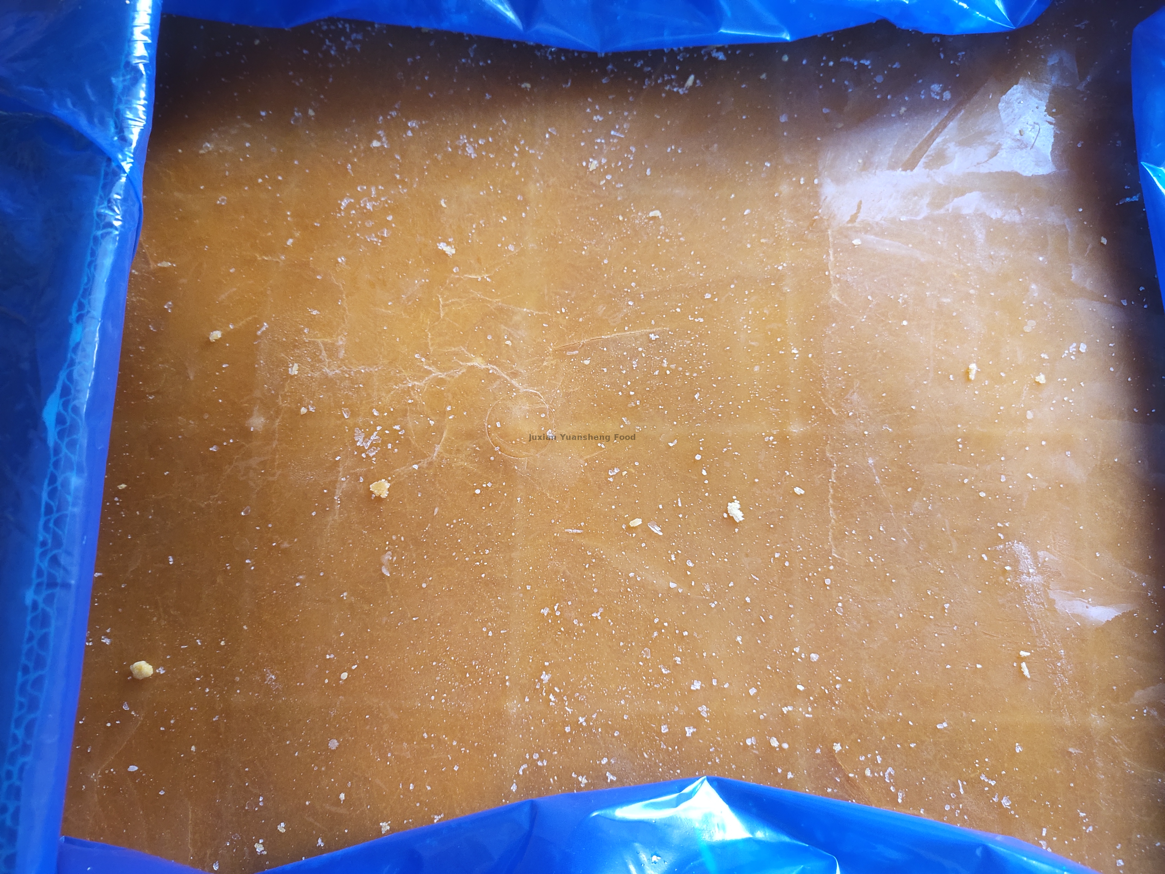 K&uuml;rbis 2 (7) - 副本