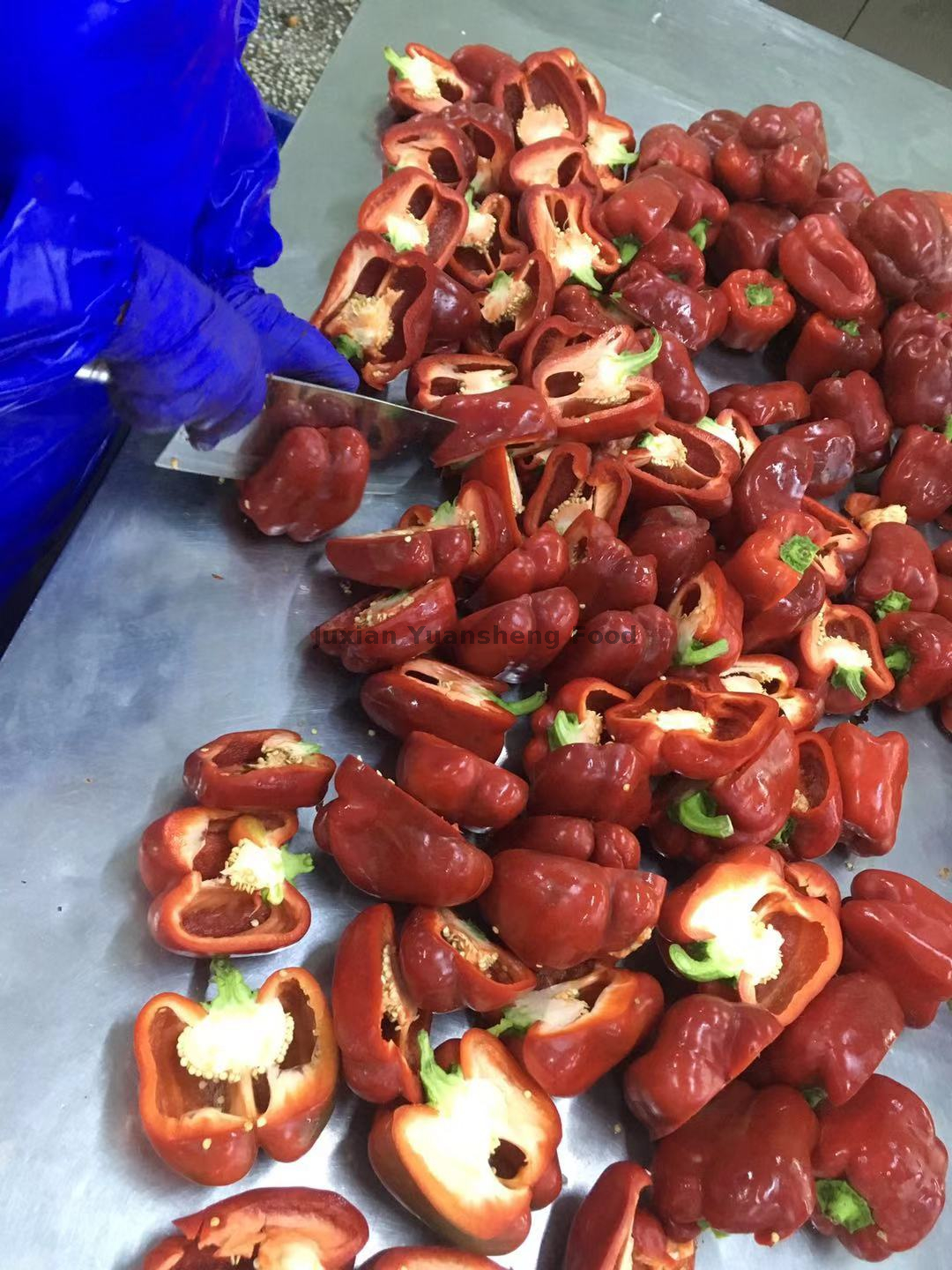 Gefrorene rote Paprikaw&uuml;rfel in gro&szlig;en Mengen 