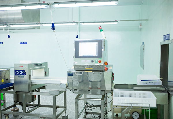 4_0001_金探和X光机-Metalldetektor und R&ouml;ntgenger&auml;t