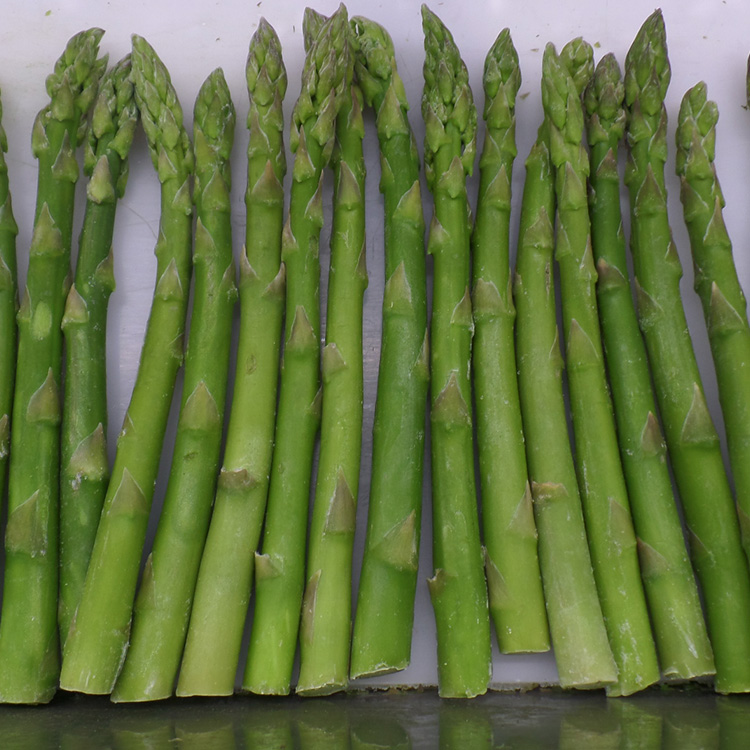 Gefrorener grüner Spargel im Großhandel mit hoher Qualität