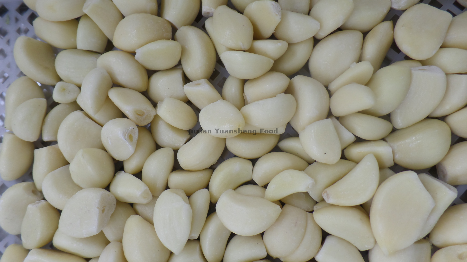 Knoblauch (4)
